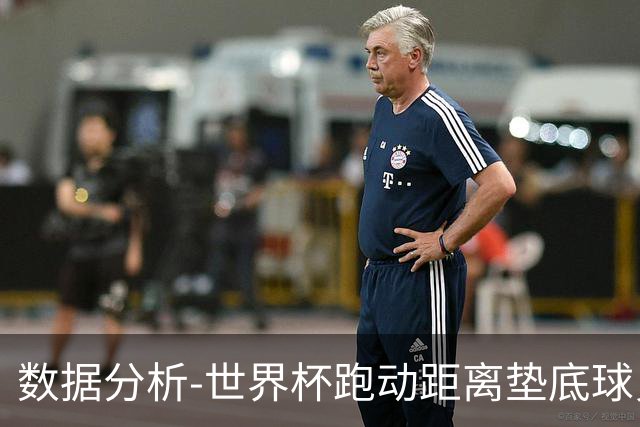 数据分析-世界杯跑动距离垫底球员竟是他 场均步行比例最高