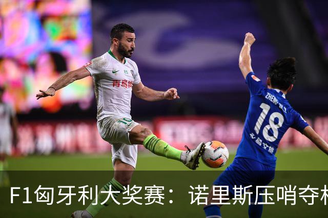 F1匈牙利大奖赛：诺里斯压哨夺杆